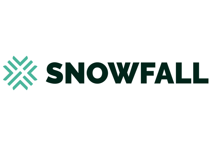 https://ctpartners.com.au/wp-content/uploads/2023/10/Snowfall_logo_resize.png